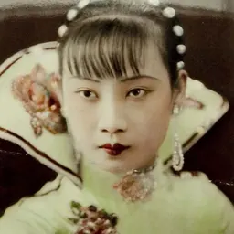 Portrait of Hu Die