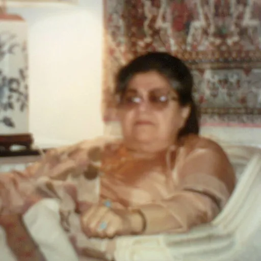 Portrait of Zari Sarfaraz