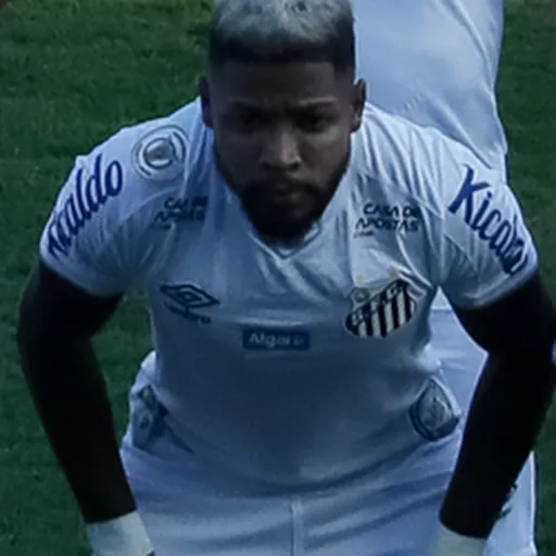 Portrait of Mário Sérgio Santos Costa