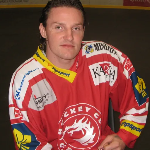 Portrait of Štefan Ružička