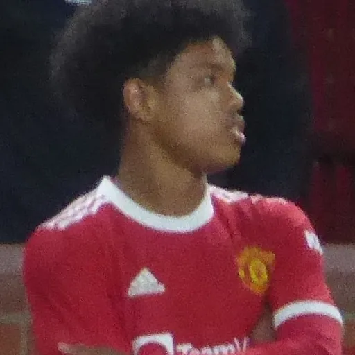 Portrait of Shola Shoretire
