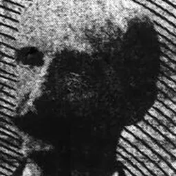 Portrait of Levi Buell Nelson