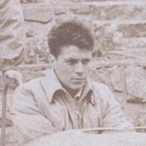 Portrait of Alexandru Oancea