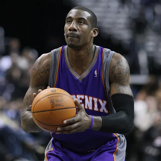 Portrait of Amar'e Stoudemire