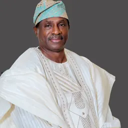 Portrait of Olufemi Lanlehin