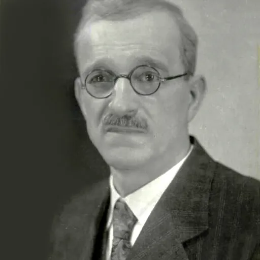 Portrait of Josip Plemelj