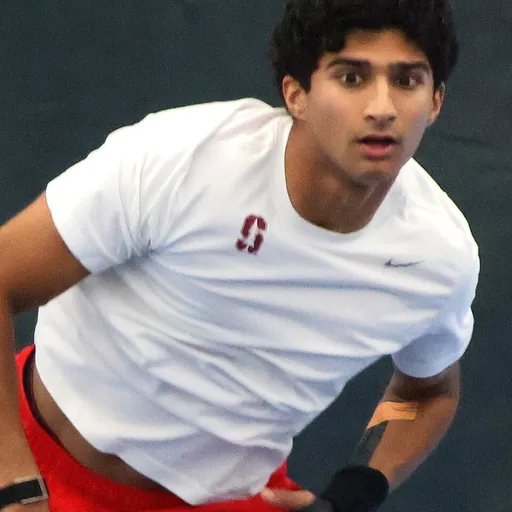 Portrait of Samir Banerjee