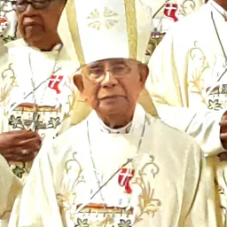 Portrait of Girulfus Kherubim Pareira