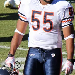 Portrait of Lance Briggs