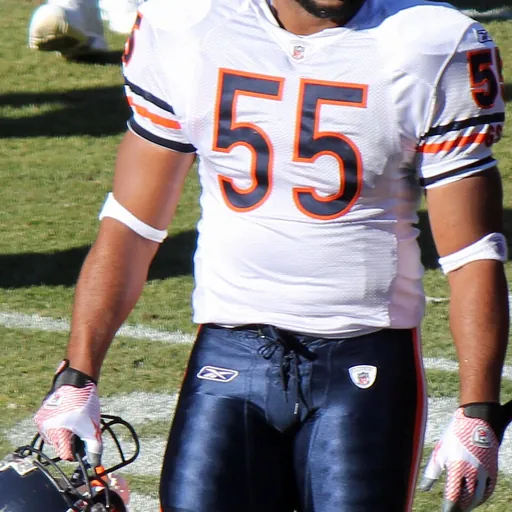 Portrait of Lance Briggs