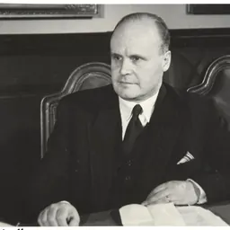 Portrait of Erik Palmén
