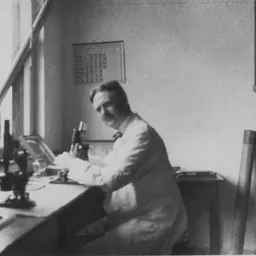 Portrait of Ernst Rodenwaldt