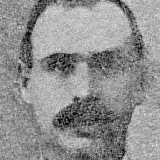 Portrait of James Fingleton