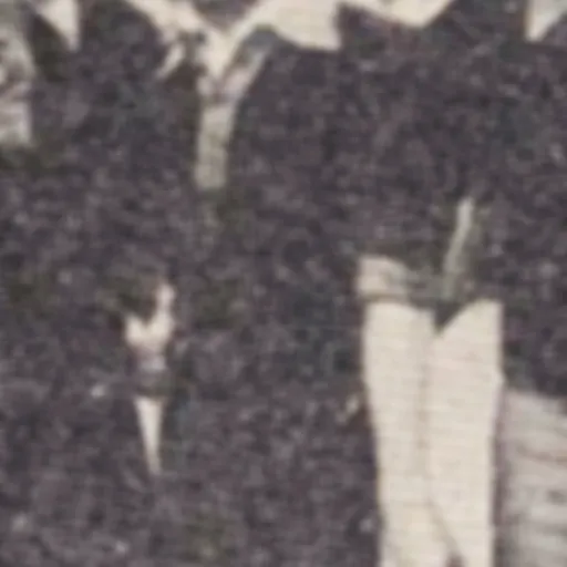 Portrait of Kostas Negrepondis