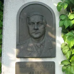 Portrait of Milan Tepić