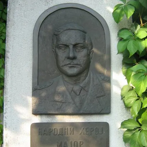 Portrait of Milan Tepić