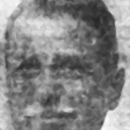 Portrait of Ridolfo Livi