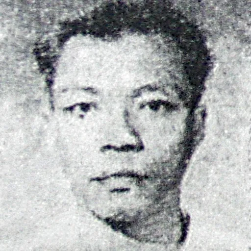 Portrait of Max Tera