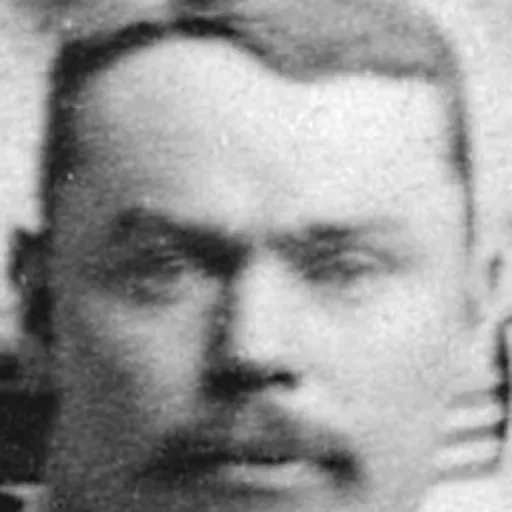 Portrait of Tom Mansell