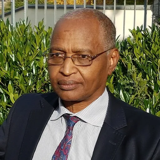 Portrait of Ousmane  Abdoulaye