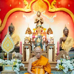 Portrait of Ajahn Tong Sirimangalo