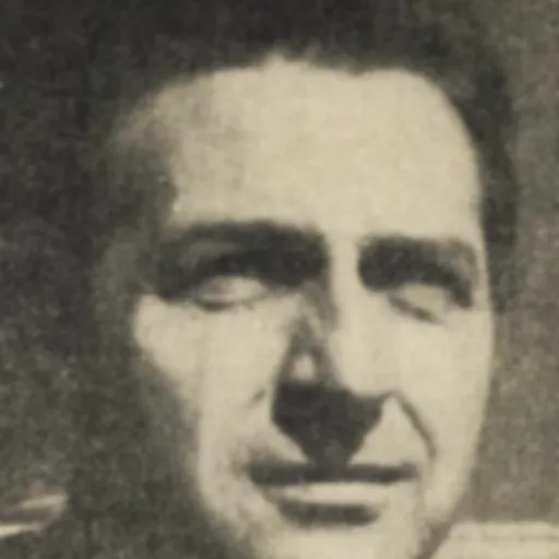 Portrait of Liviu Bratoloveanu