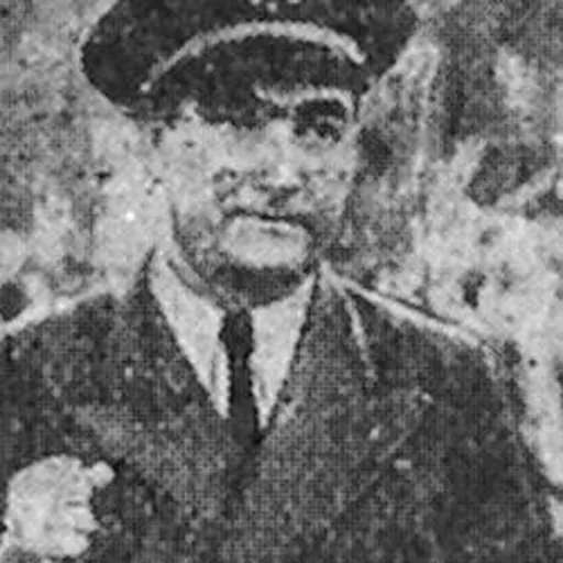 Portrait of Alberto Bayo