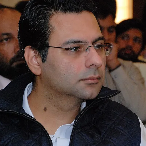 Portrait of Moonis Elahi