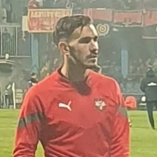 Portrait of Nemanja Stojić
