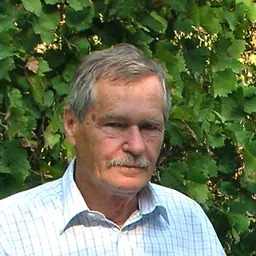 Portrait of Kálmán Faluba