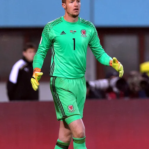 Portrait of Wayne Hennessey