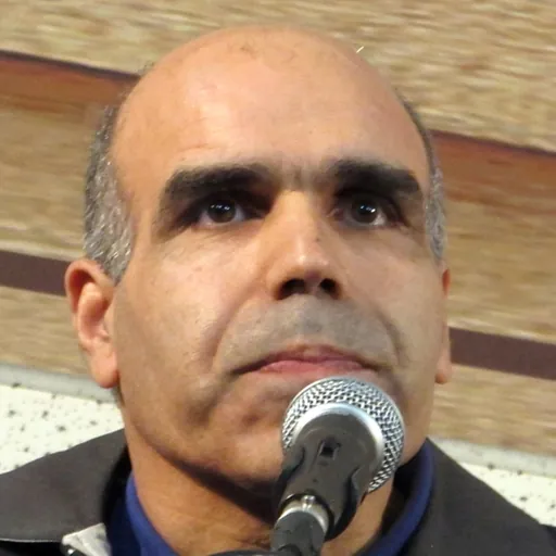 Portrait of Malek Hosseini