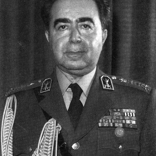 Portrait of Hossein Fardoust