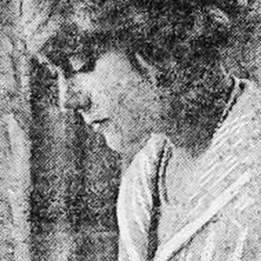 Portrait of Ethel Newcomb