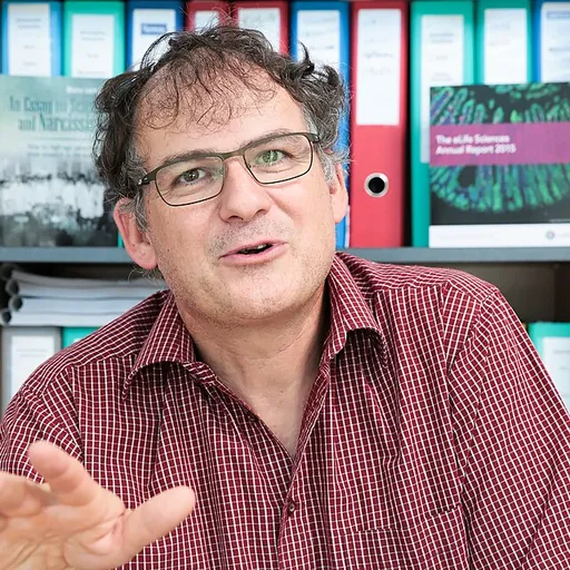 Portrait of Bruno Lemaitre