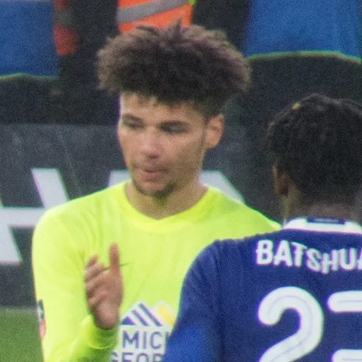 Portrait of Lee Angol