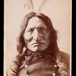 Portrait of Red Horse