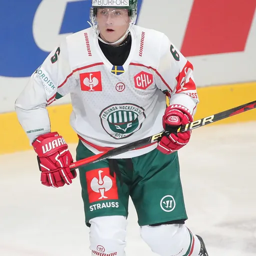 Portrait of Filip Hasa