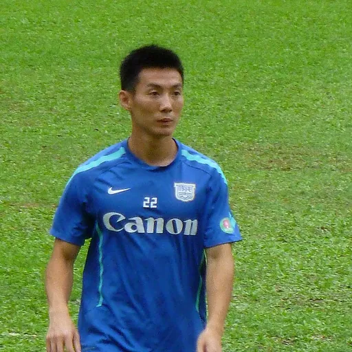 Portrait of Lo Chi Kwan
