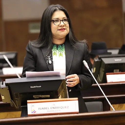 Portrait of Isabel Enríquez