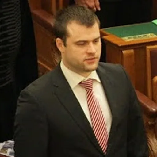 Portrait of Gábor Staudt