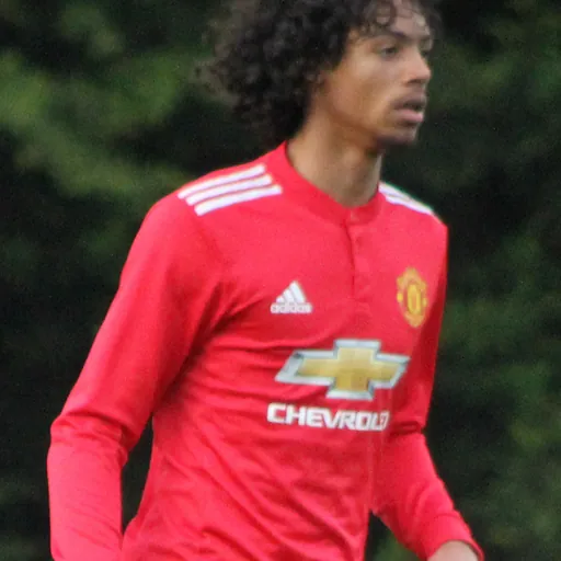 Portrait of D'Mani Mellor
