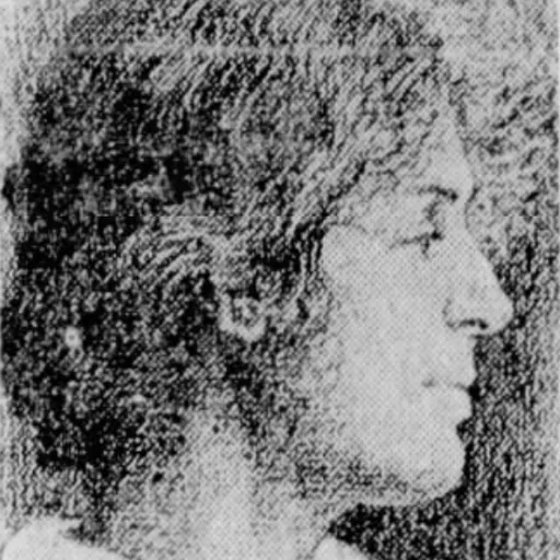 Portrait of Zephine Humphrey