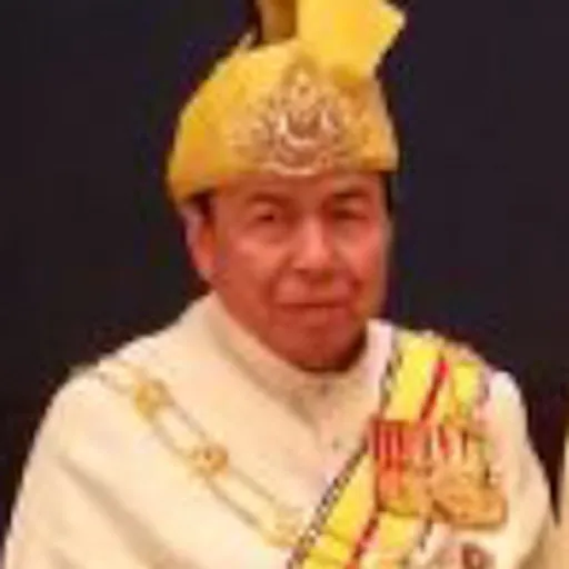 Portrait of Sharafuddin I of Selangor