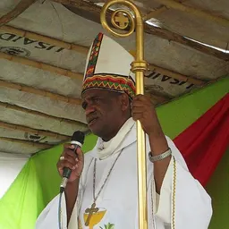 Portrait of Désiré Tsarahazana
