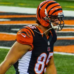 Portrait of Tyler Eifert