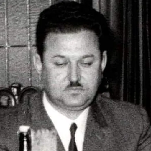 Portrait of Ilija Vakić