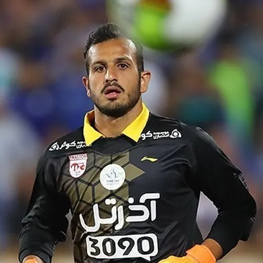 Portrait of Farzin Garousian