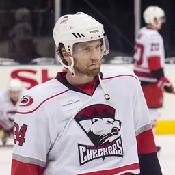 Portrait of Brett Bellemore