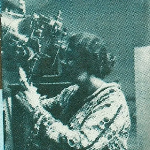 Portrait of Maria Teohari